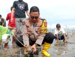 Polres Kolut Tanam Ribuan Mangrove di Peseiser Pantai