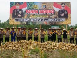 Dukung Program Ketahanan Pangan Nasional, Polda Sultra Panen Jagung hingga Tabur 1000 Benih Ikan