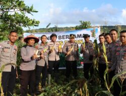 Dukung Program Asta Cita Presiden, Polres Buton Sukses Panen Raya Jagung