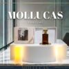 Rasakan Sensasi Wanginya Mollucas Parfum dengan Aromatik Khas Rempah Nusantara
